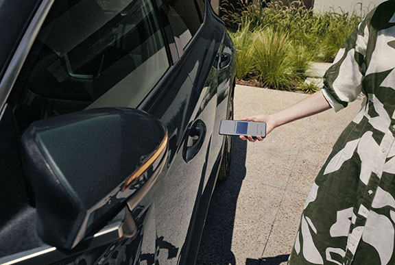 Conectividad de otro nivel.